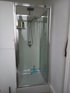 a shower with a glass door in a bathroom at Studio 253, classé 2 étoiles, proche des thermes in Vittel