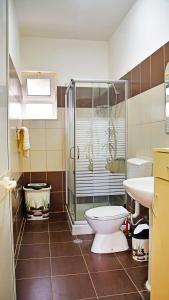 uma casa de banho com um WC, um chuveiro e um lavatório. em White Sea View Apartment Velipoje em Velipojë