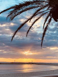 widok na plażę z palmą w obiekcie Coucher2Soleil w mieście Le Grau-du-Roi +2 zdjęcia