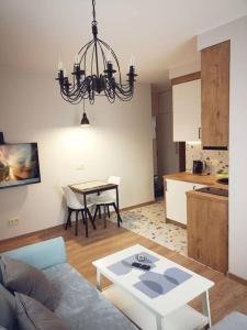 Η κουζίνα ή μικρή κουζίνα στο Apartamentai centre