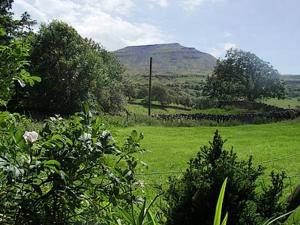 a field of green grass with a mountain in the background at Seal Parrock in Weathercote