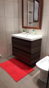 a bathroom with a sink and a red rug at Cal Jan in Aixovall