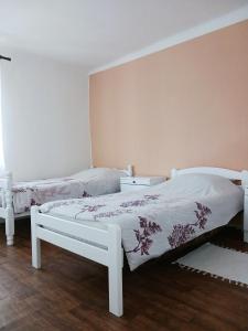 a bedroom with two beds and a wall at Apartman Kristina in Čapljina