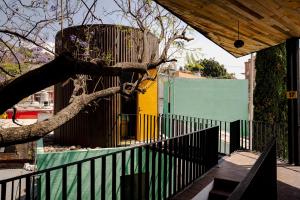 瓦哈卡德華雷斯的住宿－Hotel con Corazón，树上挂着鸟笼的栅栏