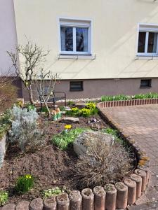 Zahrada ubytování Ferienwohnung Jungbär - Die Wohlfühl-Adresse im Stangenwald
