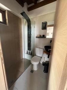 a bathroom with a toilet and a glass shower at North Chalet in Arachova