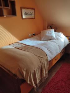 ein großes Bett in einem Schlafzimmer mit rotem Teppich in der Unterkunft Duplex Boñar in Boñar