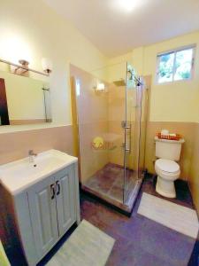 a bathroom with a shower and a toilet and a sink at Highend resort in Buccoo