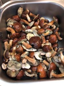 Fotografie z fotogalerie ubytování Apartament Jeziorna v destinaci Ocypel