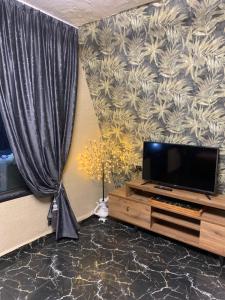 博爾若米的住宿－Hillside Borjomi，客厅配有电视和窗帘