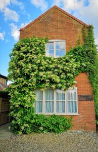 a building covered in ivy with two windows at Bramble Lodge in Blakeney