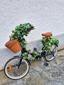 Vara Superiore的住宿－La perla nella foresta，一辆自行车,上面装有植物篮子