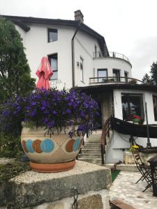 una grande pentola di fiori viola davanti a una casa di Ancora a Predeal