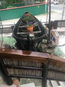 łódź z doniczką na ławce w obiekcie Ancora w mieście Predeal