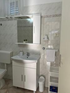 a bathroom with a sink and a toilet and a mirror at Apartments Marinovic in Brzac