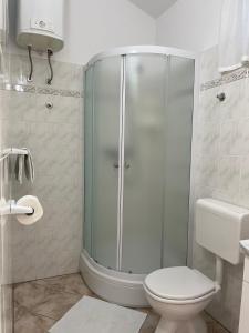 a bathroom with a shower and a toilet at Apartments Marinovic in Brzac