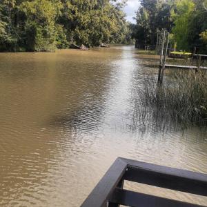 vistas a una masa de agua con muelle en Arco iris en Tigre