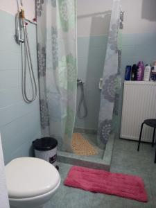 y baño con ducha, aseo y lavamanos. en Nasos's Country House, en Porto Rafti