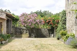 A garden outside Casa Rural Maria Bargiela