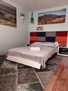 um quarto com uma cama e um tapete em Apartament i pokoje u Roberta em Polańczyk