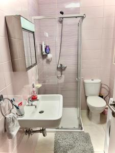 La salle de bains est pourvue d'une douche, d'un lavabo et de toilettes. dans l'établissement Habitación Doble o sencilla en apartamento Compartido en Gzira Malta , zona centrica, à Il-Gżira