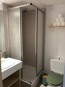 a bathroom with a shower and a toilet and a sink at Appartement climatisé avec jardin et pkg privatif in Cap d'Agde