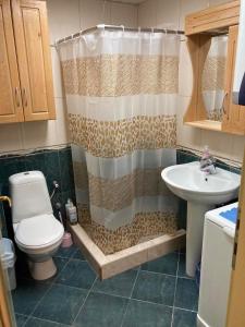 ein Bad mit einer Dusche, einem WC und einem Waschbecken in der Unterkunft Apartman Aischa in Nova Varoš