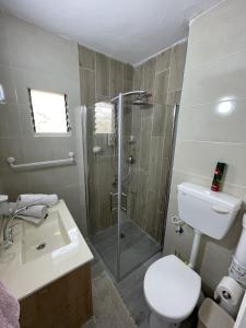 a bathroom with a shower and a toilet and a sink at לנפוש בכייף בדגניה in Haifa