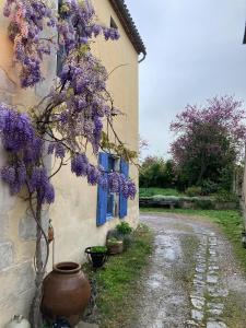 een boom met paarse bloemen aan de zijkant van een gebouw bij Casa Bella in Charroux-dʼAllier