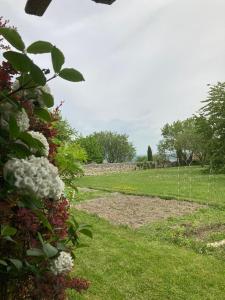 Zahrada ubytování Casa Bella