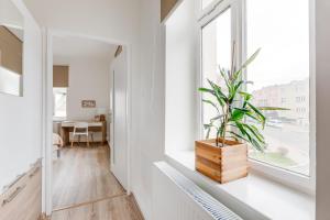 a plant sitting on a window sill in a hallway at Modern, bright and spacious apartment in Prague +39 photos