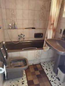 y baño con aseo y lavamanos. en Silence area 1 in north Athens, en Acarnas