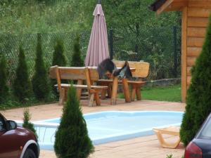 Fotografia z galérie ubytovania Wynajem Pokoi ,,Góry Tatry Wypoczynek "Paweł Kuczyński v destinácii Czarna Góra