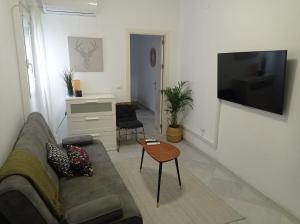 TV a/nebo společenská místnost v ubytování WakeUp SevillaApartment