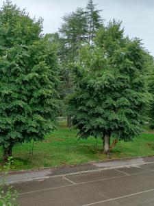 Gallery image of SantaBarbara in Meleto +10 photos