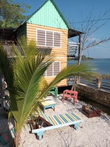 una casa en la playa con una palmera en Posada Don Julio en Flores