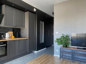 a kitchen with gray cabinets and a potted plant at Apartament City Spa - Sokolska 30 Towers in Katowice