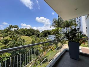 a balcony with a potted plant on a railing at Super apartamento en club residencial in Pereira