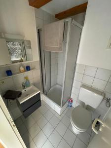 ein Bad mit einer Dusche, einem WC und einem Waschbecken in der Unterkunft Ferienwohnung Fürth in Fürth