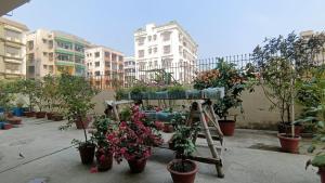 Thākurdwari的住宿－Luxurious studio apartment in Newtown，庭院里种有盆栽植物的植物架
