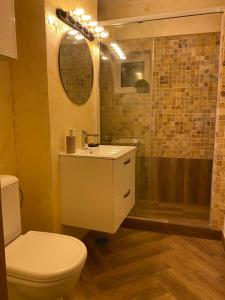 une salle de bain avec toilettes, lavabo et douche dans l'établissement Apartament Central, à Craiova