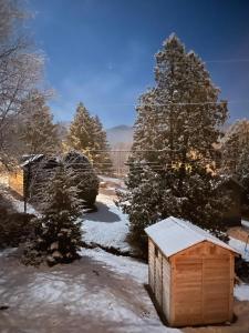 a smallshed in a yard with snow on the ground at B10 NEW Awesome Tiny Home with AC Mountain Views Minutes to Skiing Hiking Attractions in Carroll