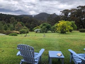 a dog sleeping on a picnic table in a field at Oaklands in Little Hartley