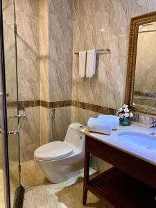 La salle de bains est pourvue de toilettes, d'un lavabo et d'un miroir. dans l'établissement Central Hotel & Residences Swimming Pool, à Hô-Chi-Minh-Ville