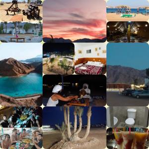 a collage of photos of a resort and a beach at OASIS Resort in Nuweiba‘ el Muzeinah