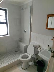 a bathroom with a toilet and a shower and a sink at Broadway Self Catering Apartments in Durbanville