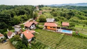 eine Luftansicht eines Hauses und eines Weinbergs in der Unterkunft StellaLuca Resort in Jalžabet + 34 Fotos