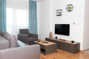 a living room with a couch and a tv at Millennium Apartment in Bačka Palanka