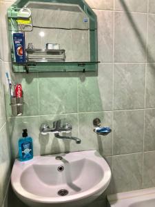 ein Bad mit einem Waschbecken und einem Spiegel in der Unterkunft 1 Bedroom Apartment in Tbilisi City