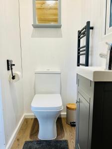 a bathroom with a white toilet and a sink at The Hut at High Street Farm in Sudbury